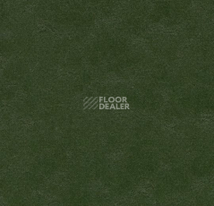 Линолеум Forbo Marmoleum Decibel on Order 335935 bottle green фото 1 | FLOORDEALER